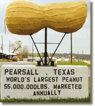 Pearsall, TX Markets 55,000,000 pounds of peanuts annually
